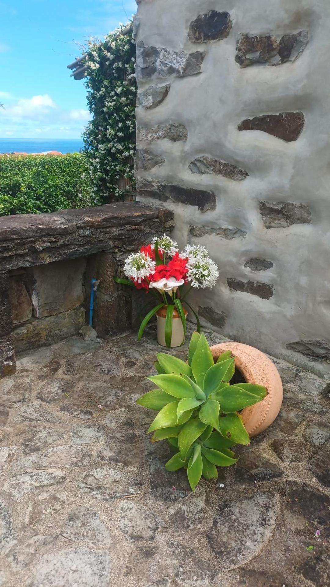Casas Da Quinta Lägenhet Santa Cruz das Flores Exteriör bild
