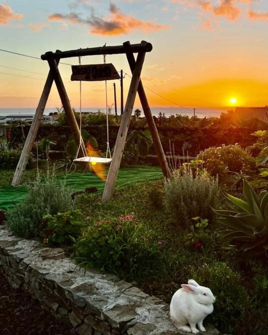 Casas Da Quinta Lägenhet Santa Cruz das Flores Exteriör bild
